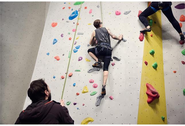 Reaching New Heights: A Spotlight on Olympic Sport Climbing news article image