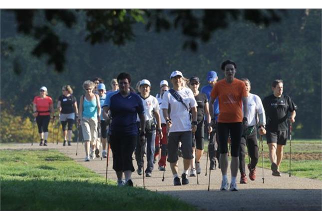 Walking back to happiness news article image