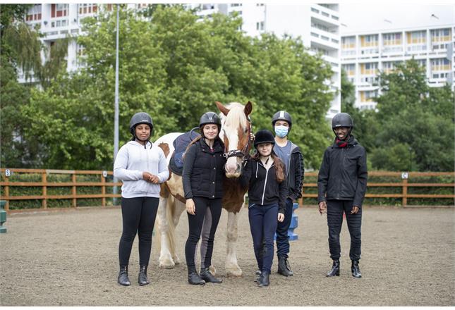 Alliance and British Equestrian join forces on urban equestrian centre research news article image